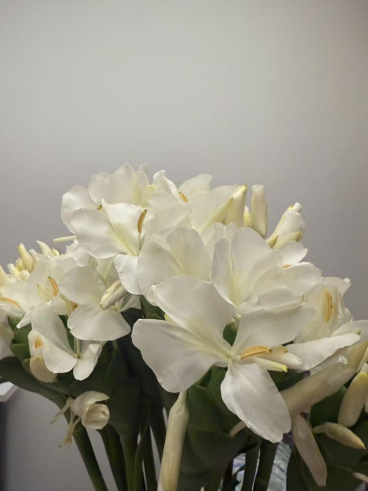 越简单，越难搞