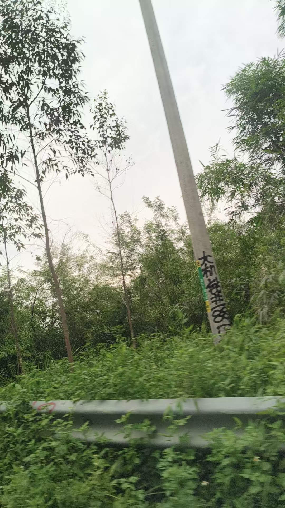 孕期过敏的紧急处理经历