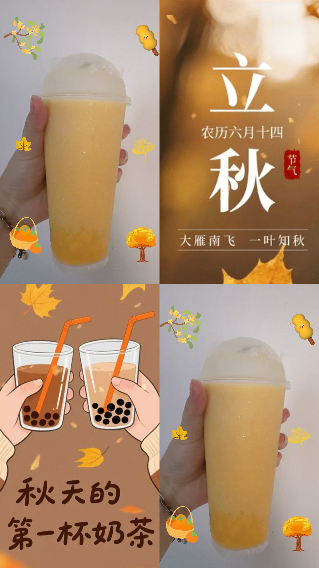 孕期饮食与生活小记