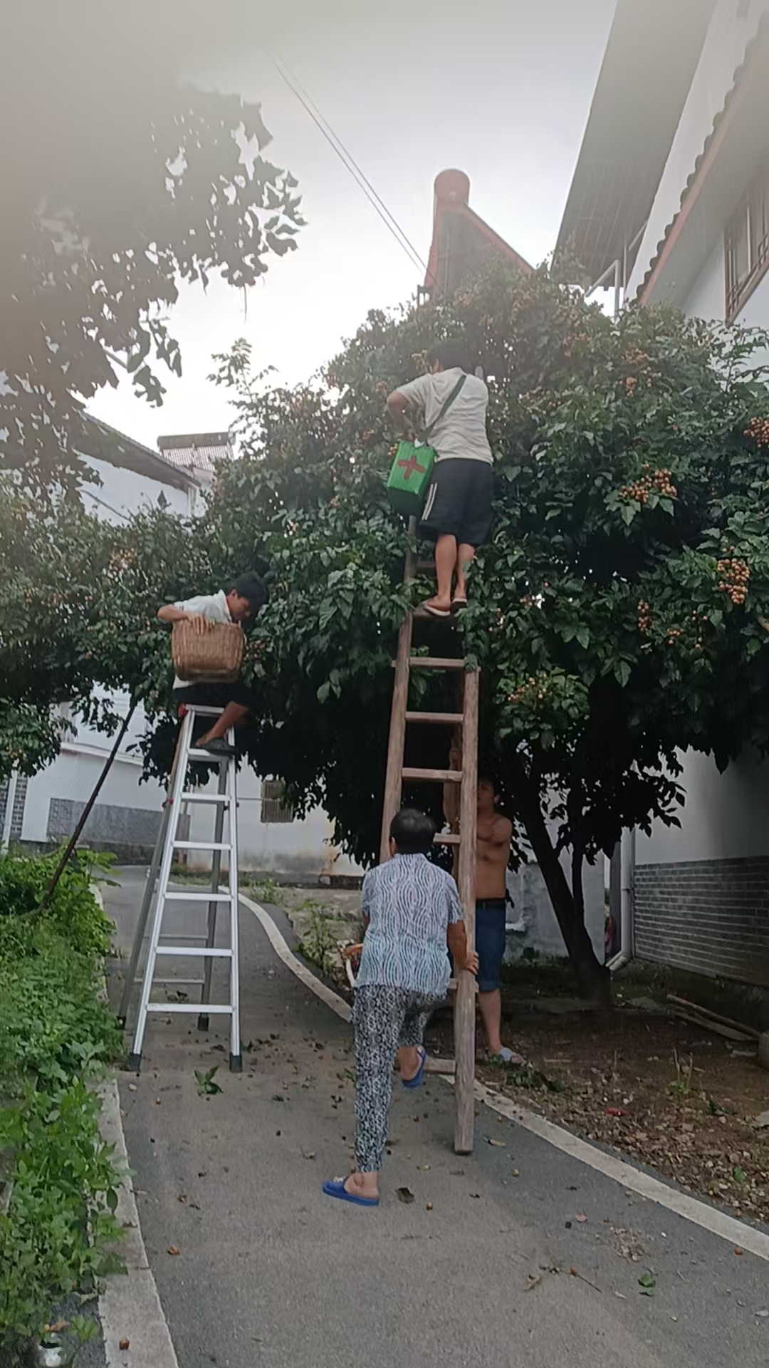 孕期饮食注意事项分享