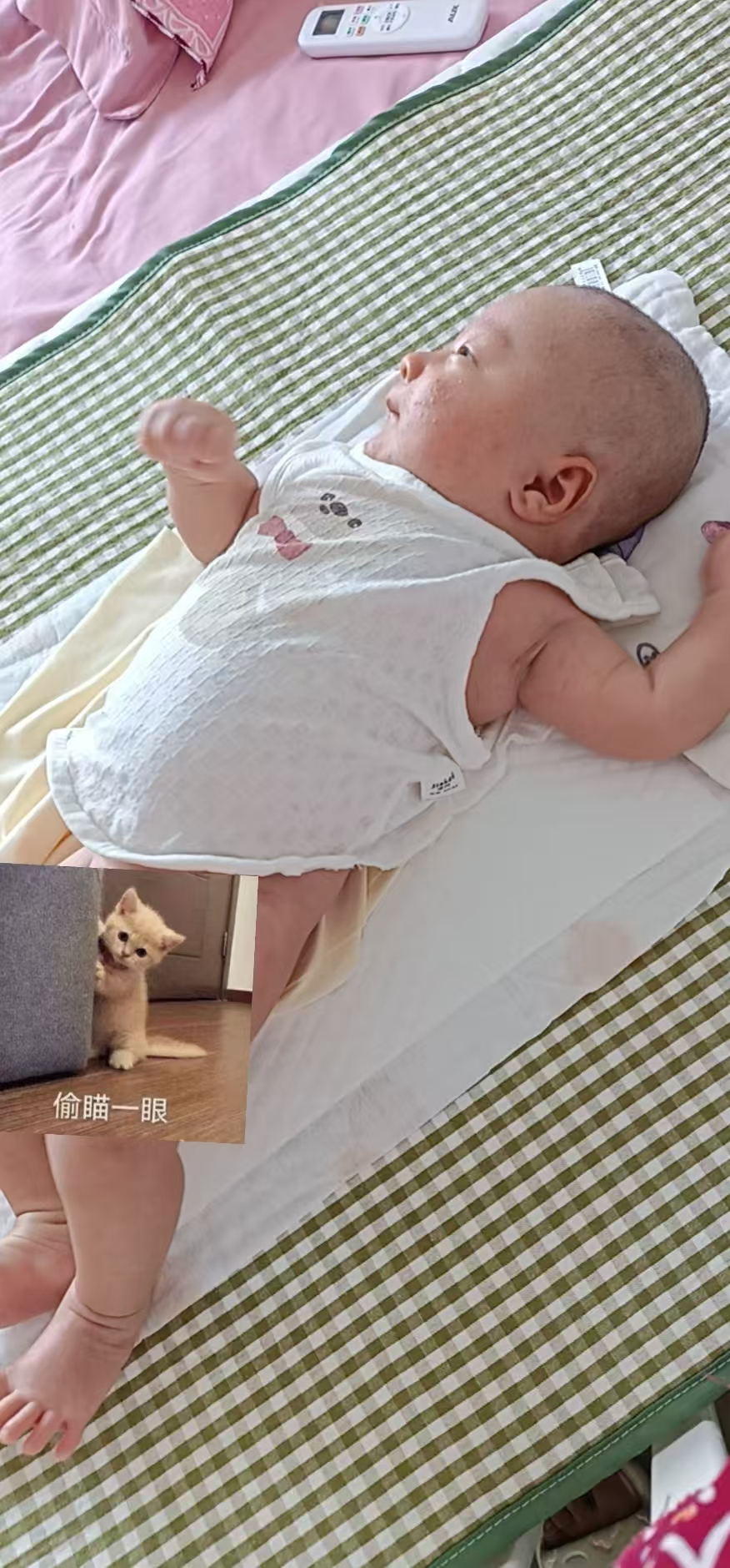 宝宝二月闹终于过去了