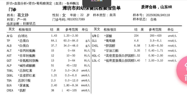 孕期饮食与血脂控制