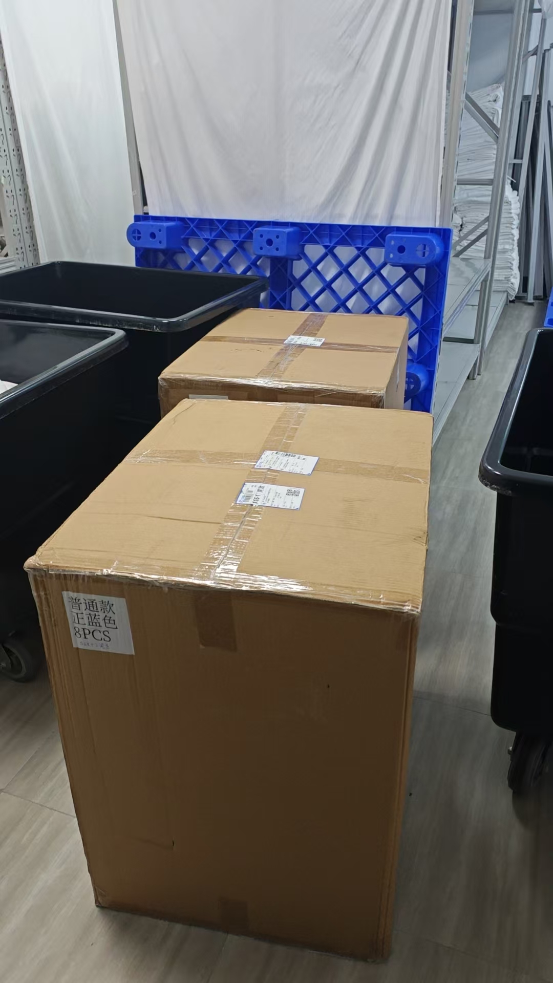 四维彩超一次性通过，分享喜悦