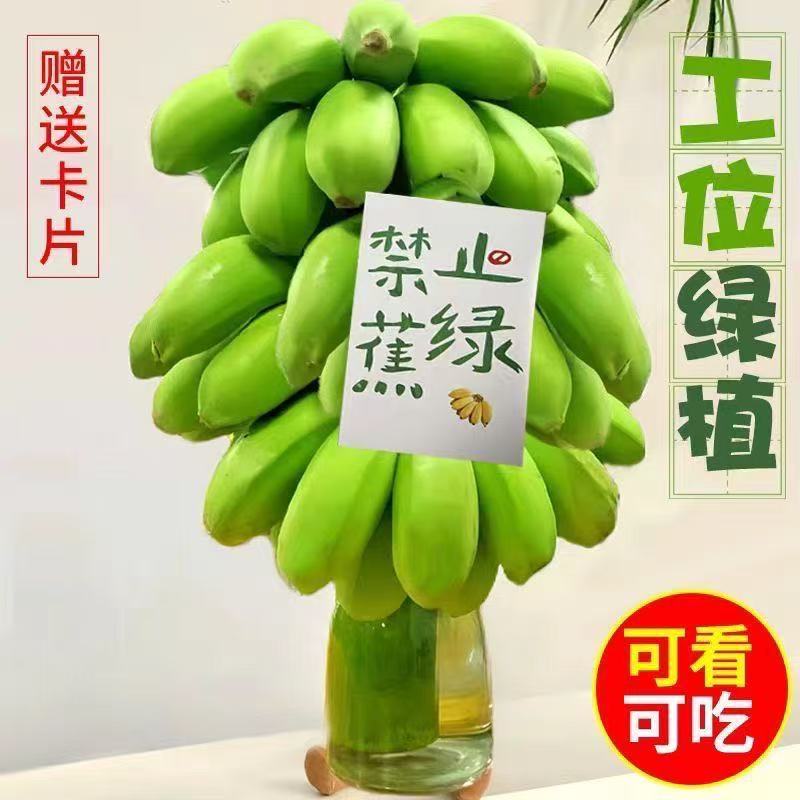 孕期保胎经历分享