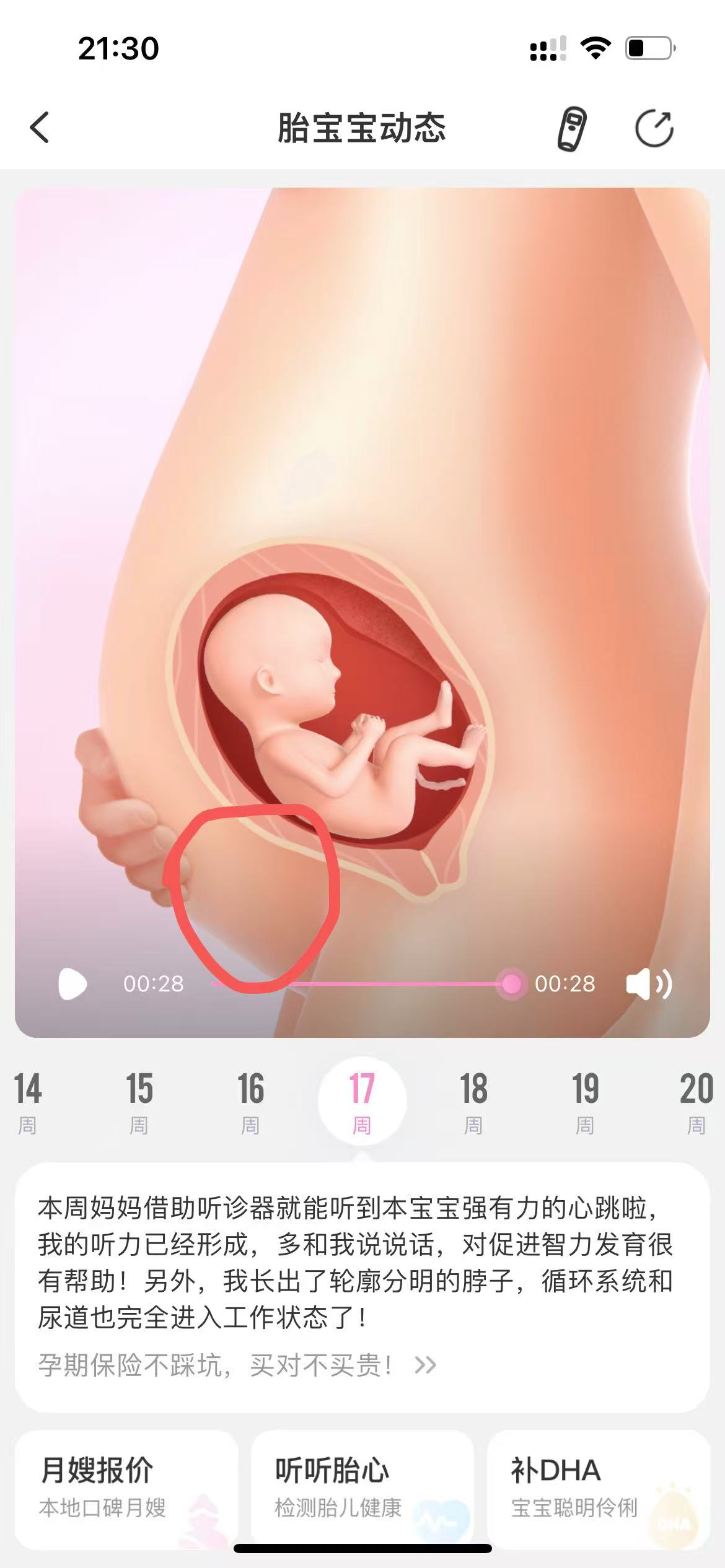 孕期饮食与体重管理的小烦恼