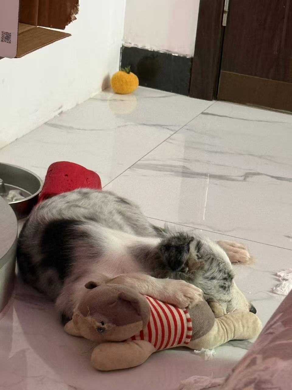 孕期血压低和宫腔积血的困扰