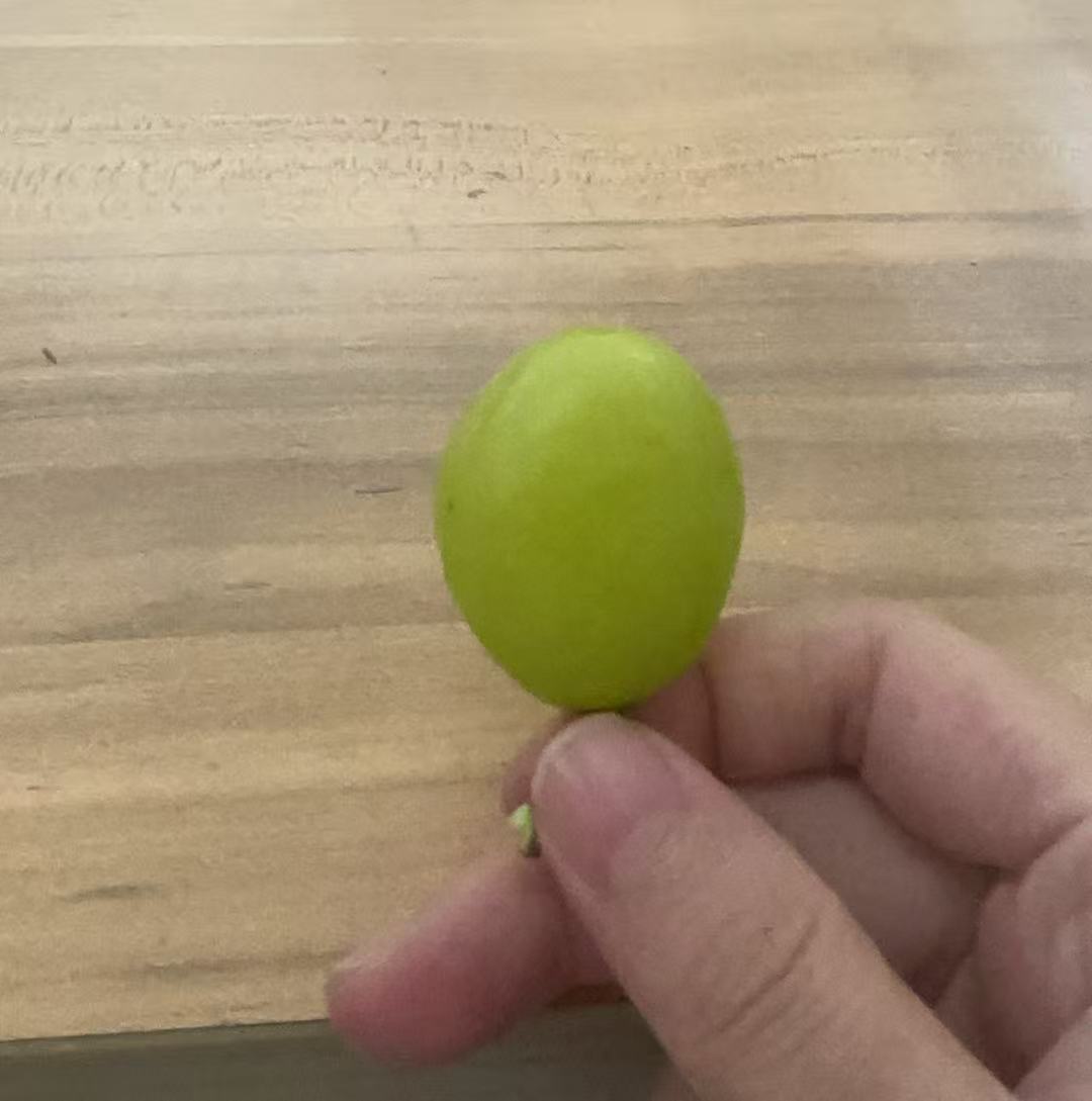 孕期控糖的饮食困扰