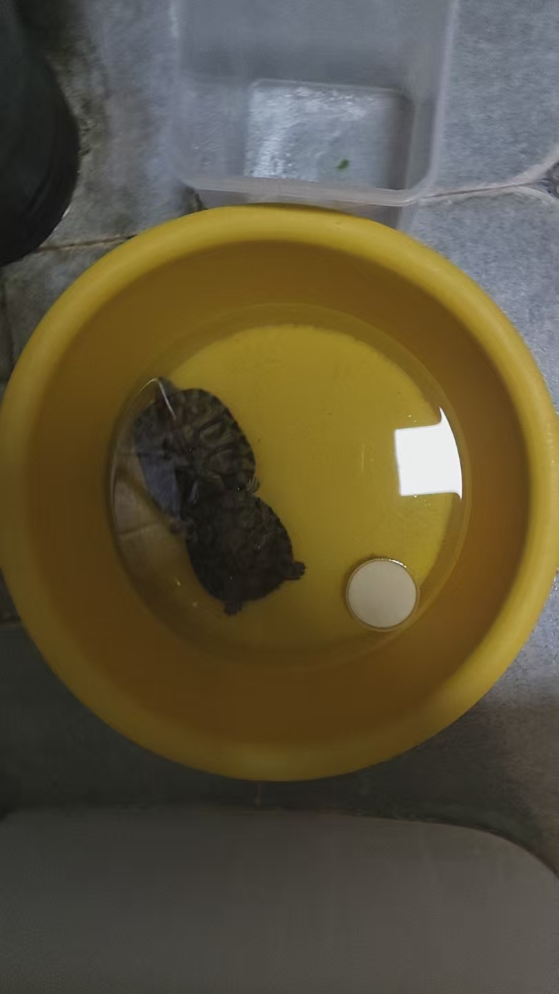 孕期脚肿怎么办？