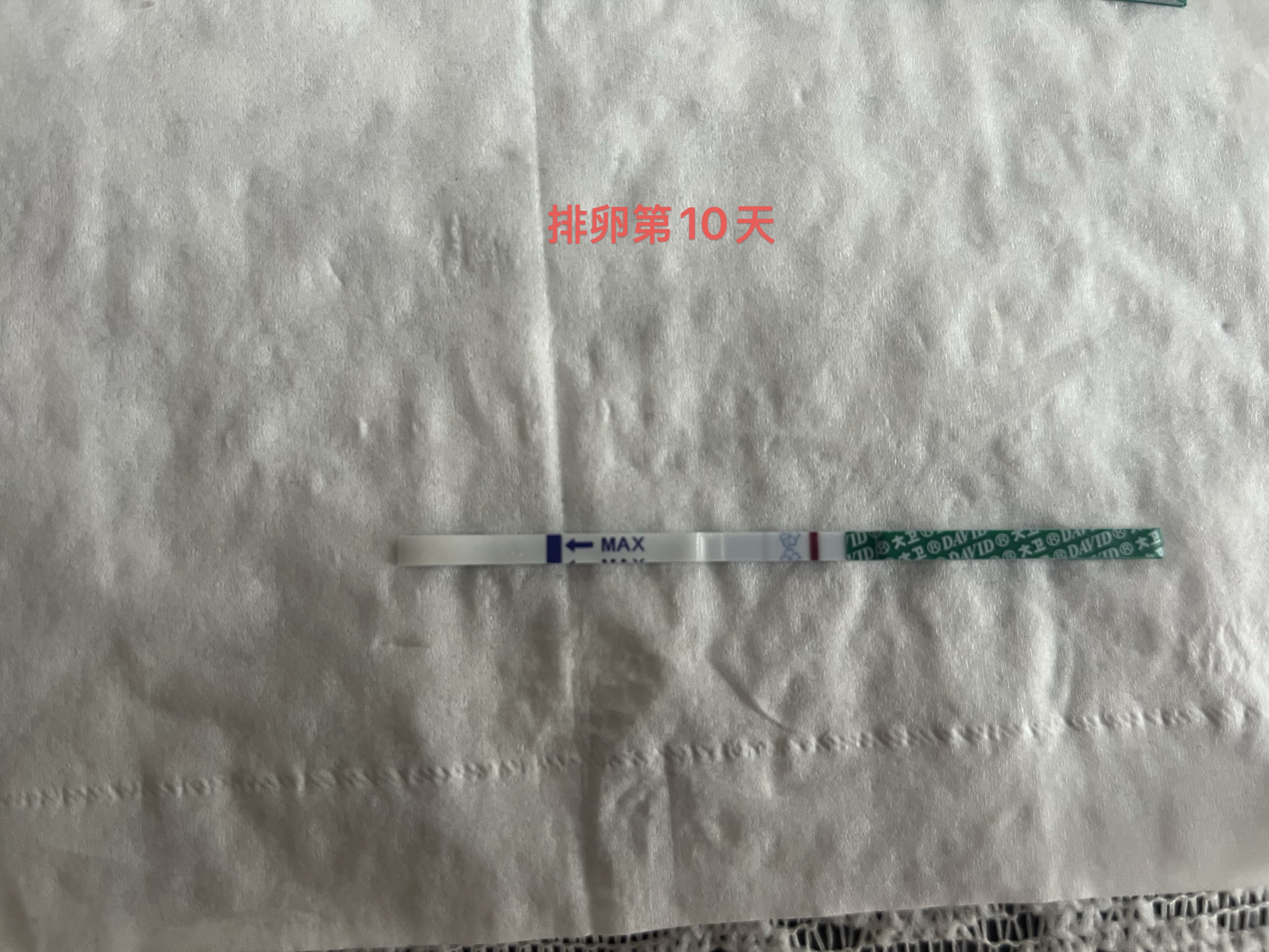 备孕路上的小惊喜