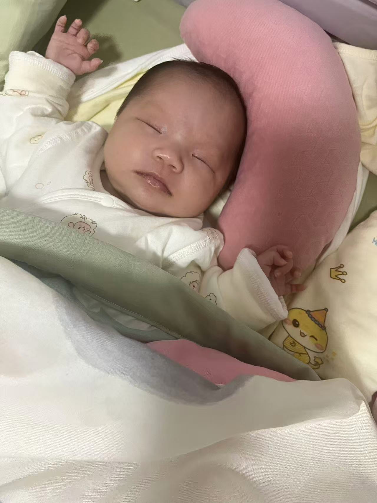 宝宝头型调整经验分享