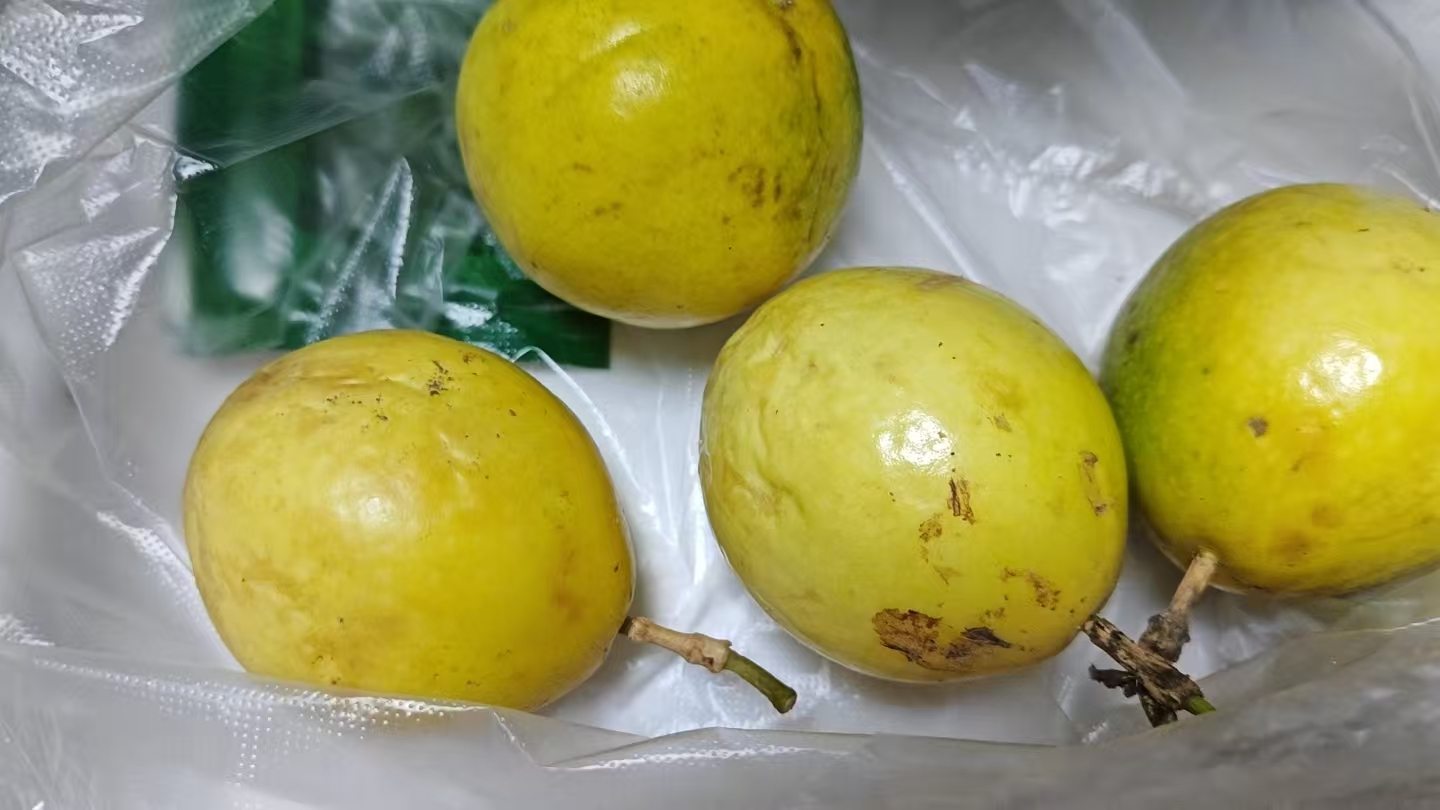 孕期控糖心得分享