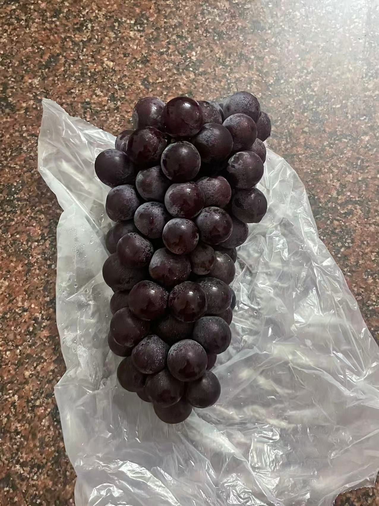 孕期反应大作战：从孕吐到食欲不振的日常