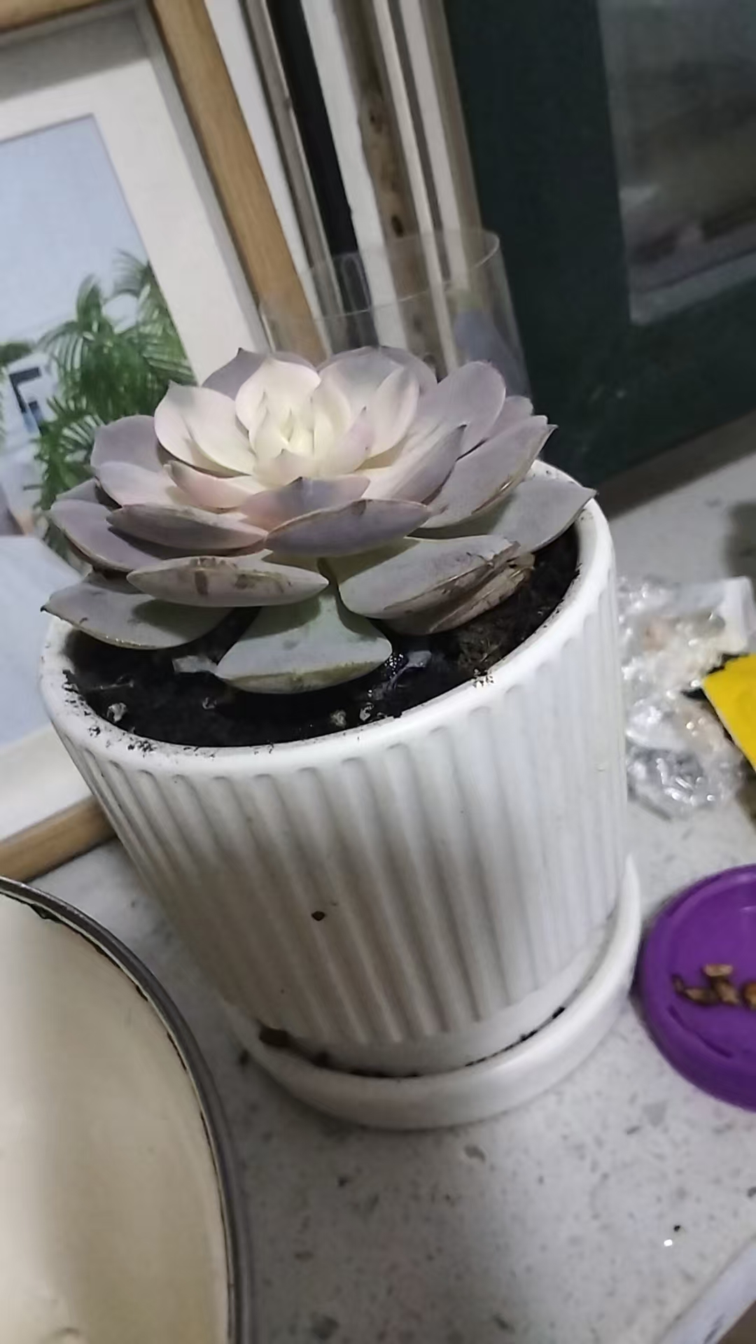 孕期假性宫缩的困扰