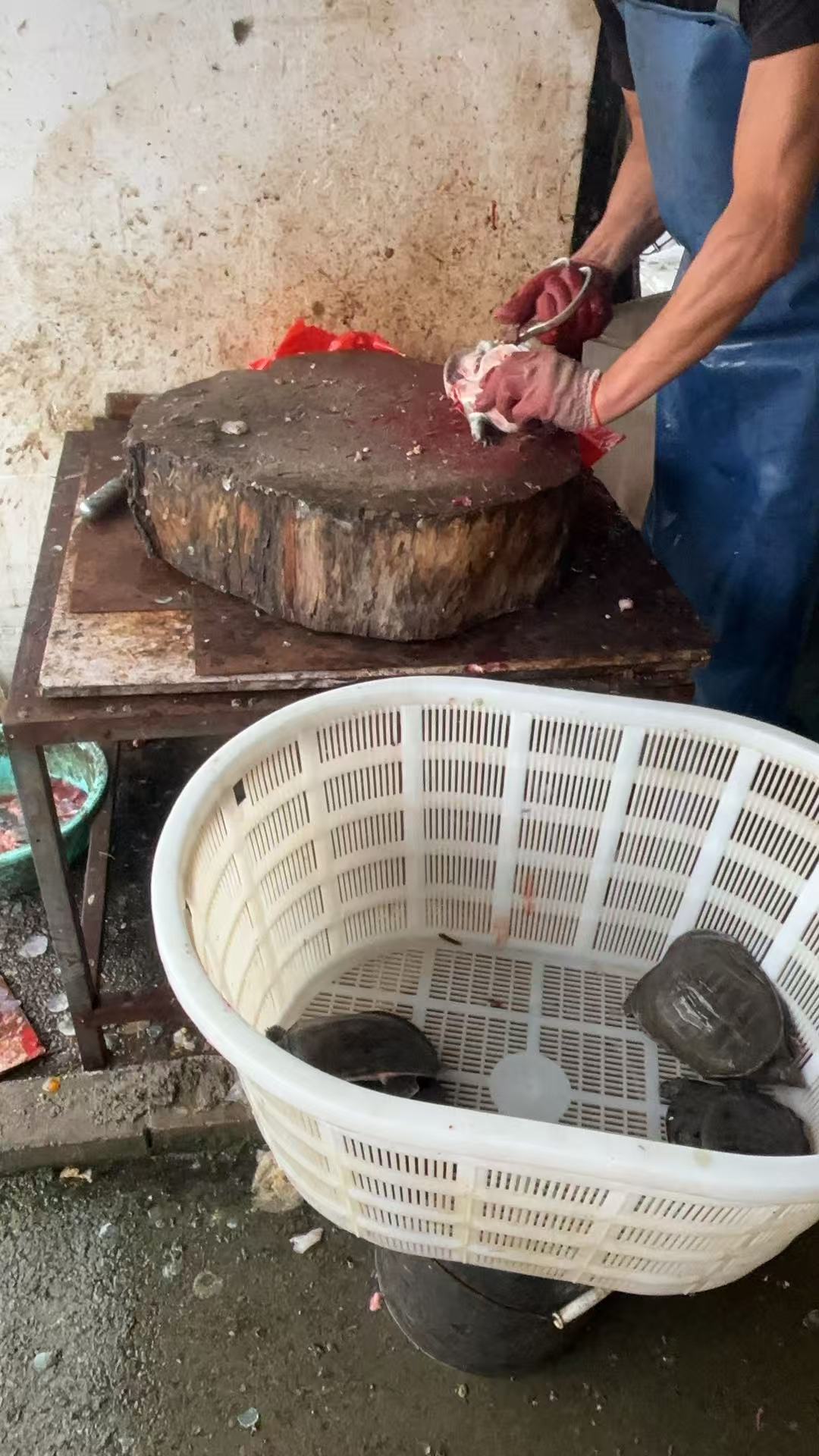 产后减肥的烦恼与坚持