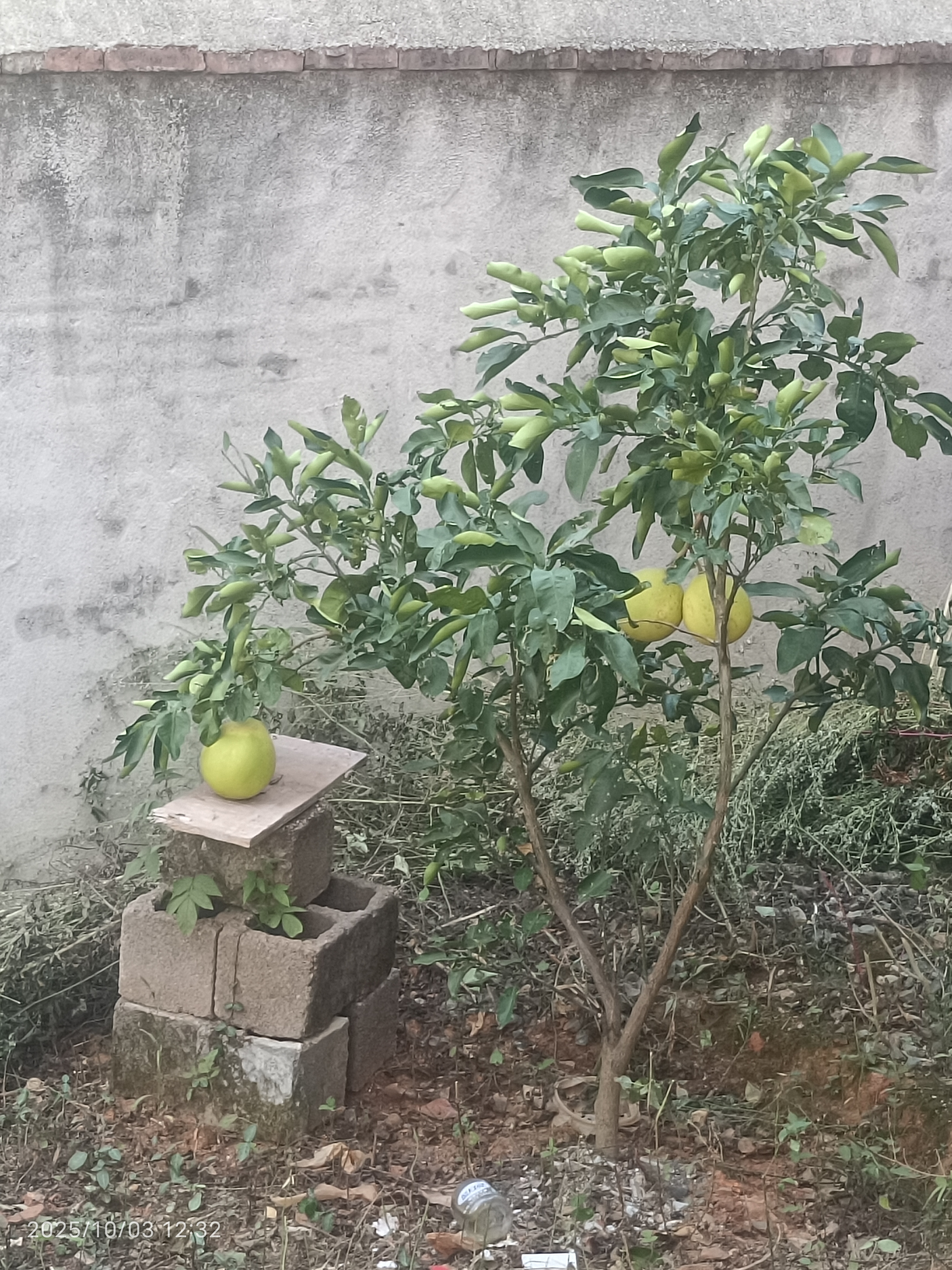 孕期胎动感受分享