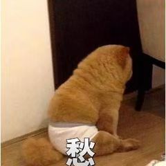 宝宝取名趣事