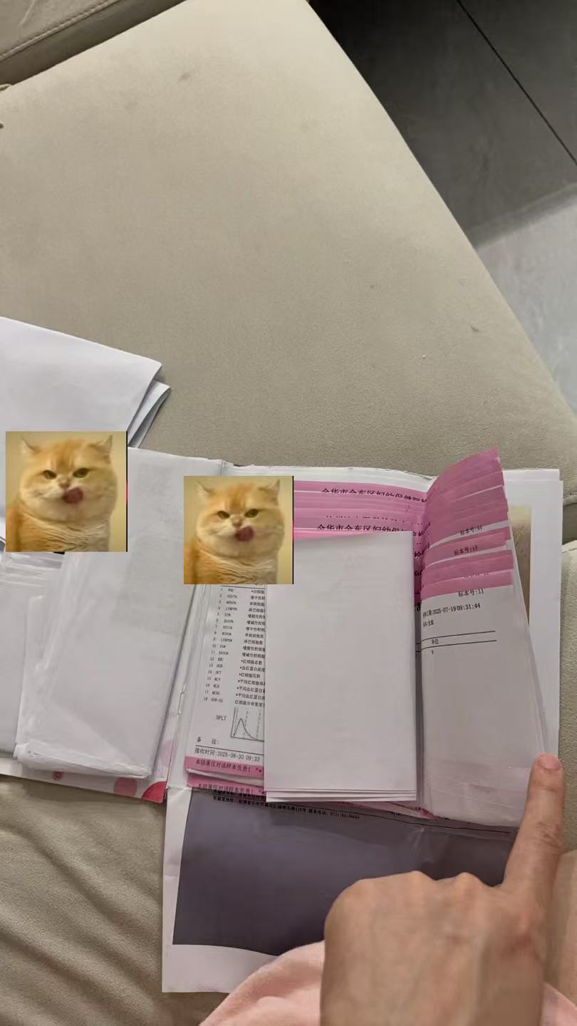 孕期情绪波动与家庭关系