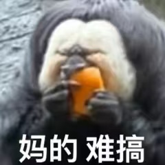 催产第三天，水囊催产疼到怀疑人生
