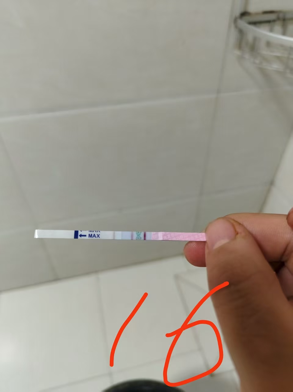 备孕路上的酸甜苦辣