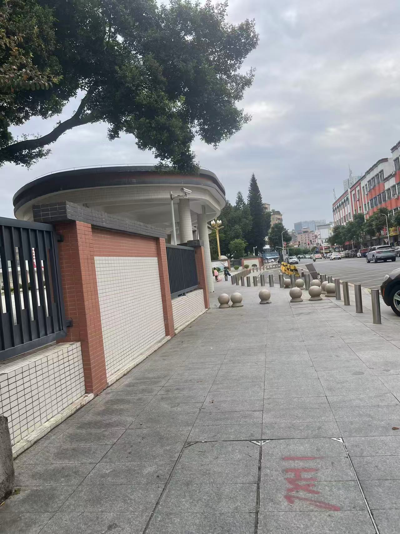 产后脱发自救指南