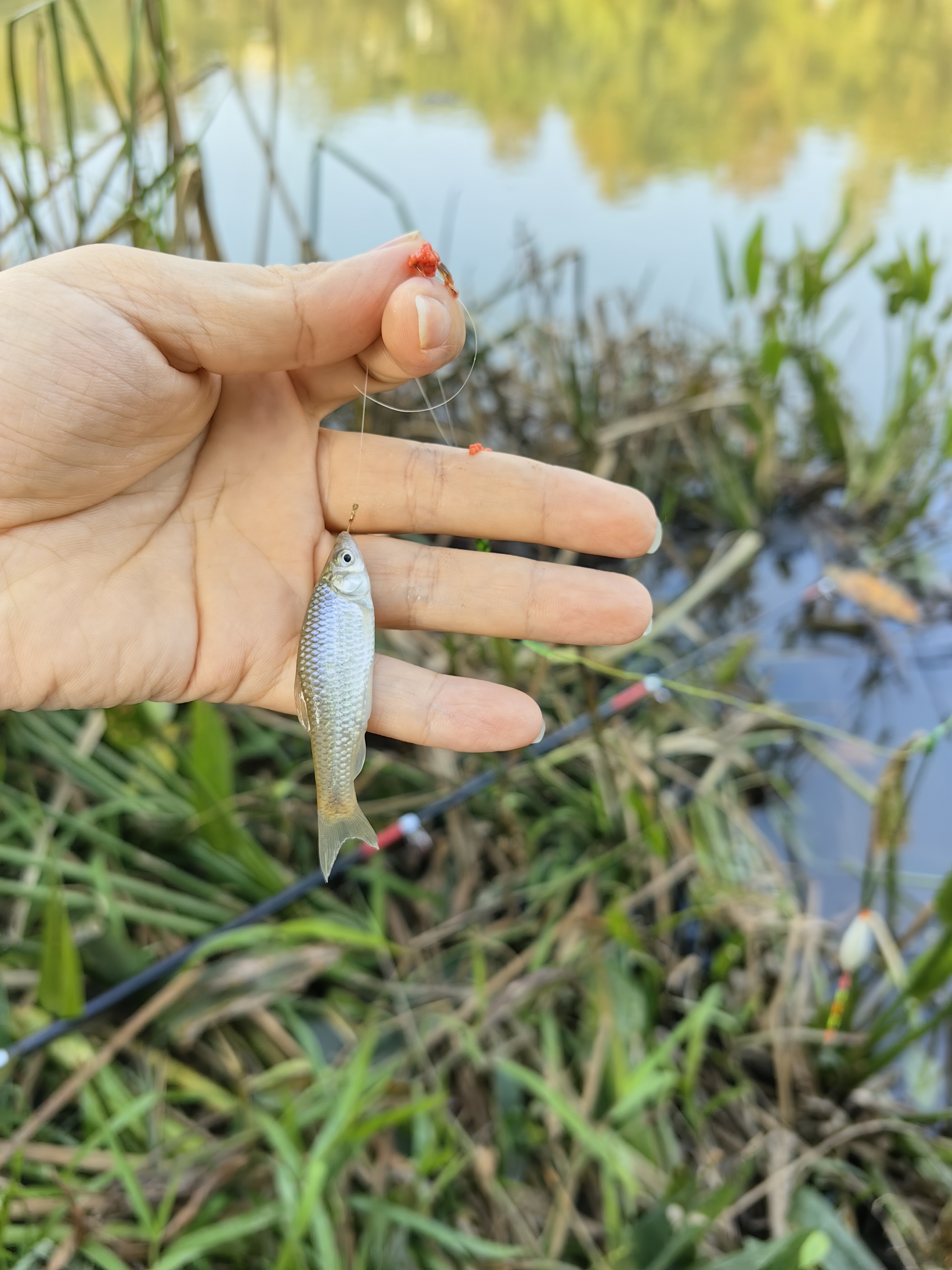 宝宝辅食添加的烦恼