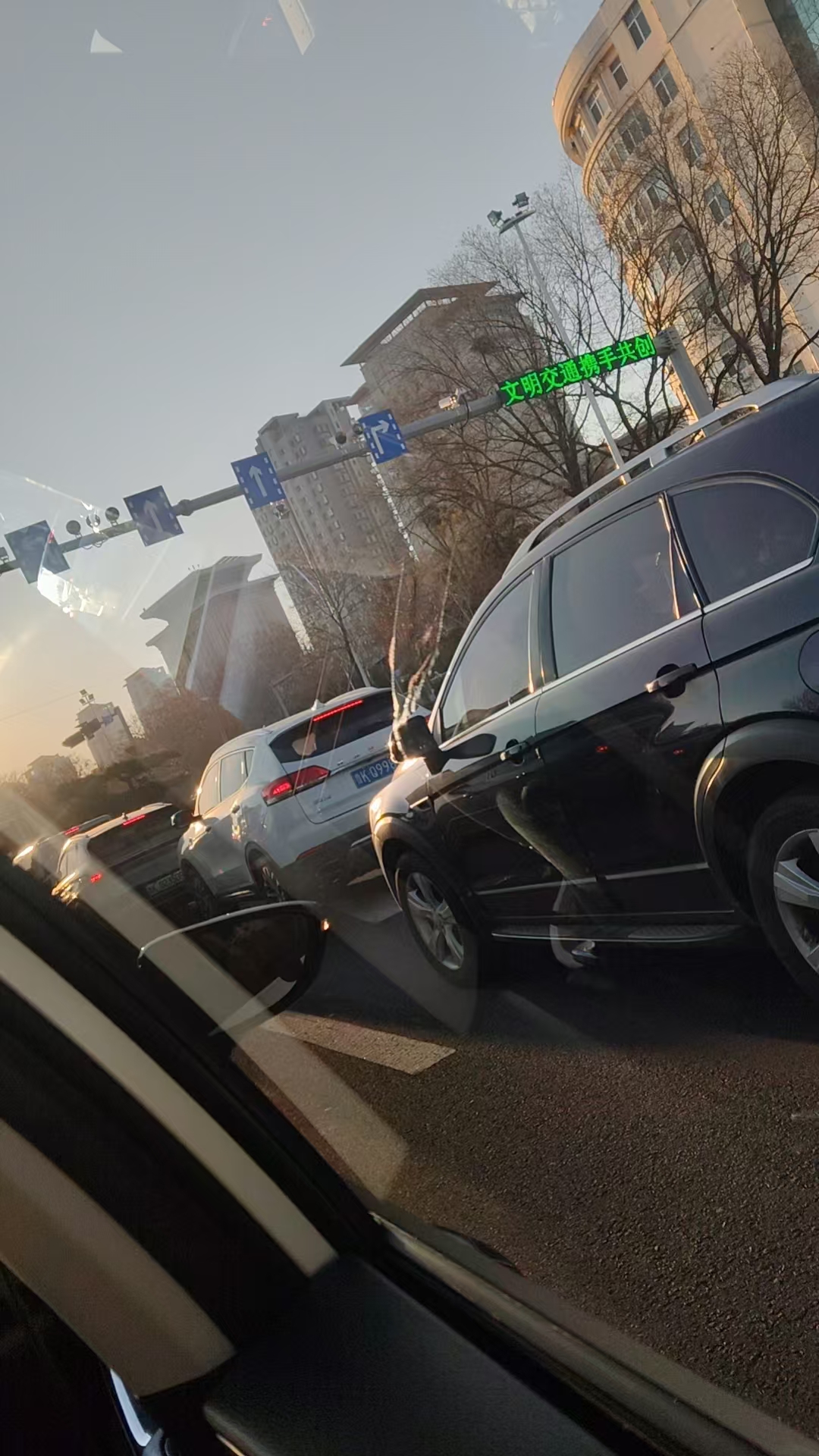 孕期体重增长与饮食控制的烦恼